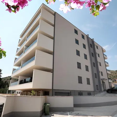 Turtles * 트로기르